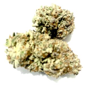 WHITE TRUFFER