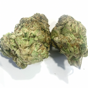 Racoon Sativa